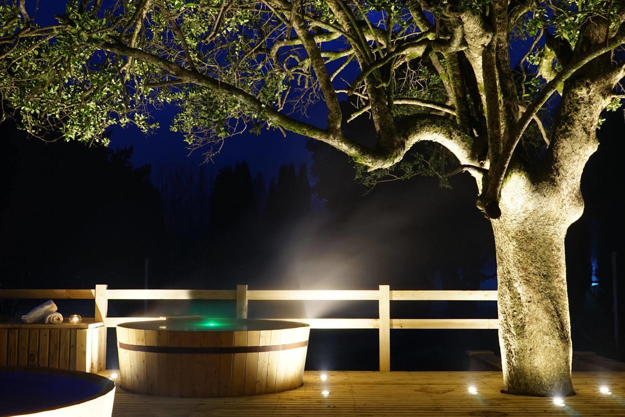 Hotel Pucon Green Park Экстерьер фото